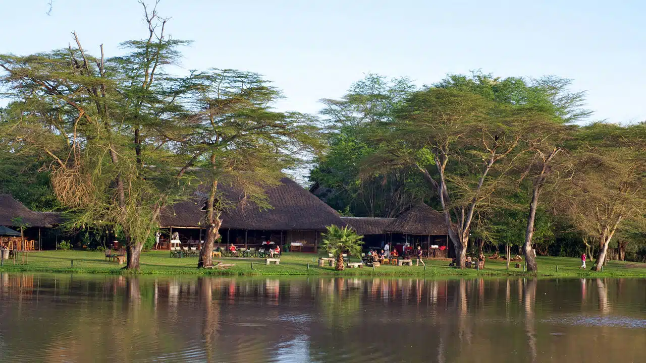 Amboseli Tsavo Safari