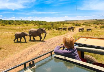 Kenya Luxury Safari From Nairobi