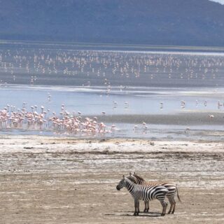 Lake Naivasha Kenya wildlife safari tour