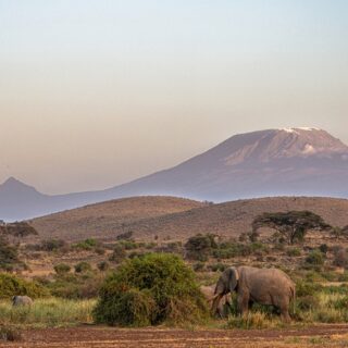 Mount Kilimanjaro Safari In Africa