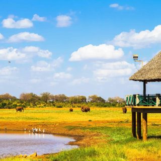 Safari from Diani beach Mombasa to Tsavo