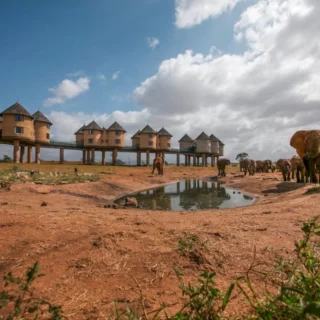 Taita Hills Wildlife Sanctuary Saltlick lodge
