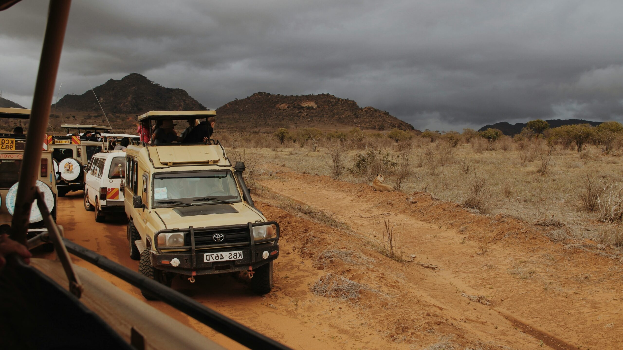 Tsavo East National Park Safari From Diani Beach Mombasa With Nova Afrika Kenya Safaris