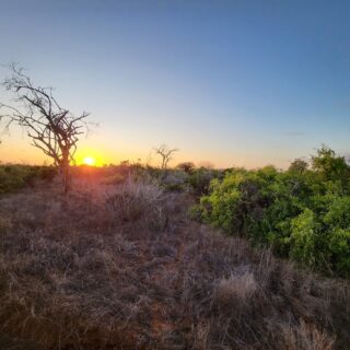 Tsavo East Wildlife Safari Tour From Mombasa