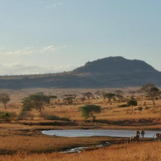 Tsavo West Amboseli Tsavo East Safari Holiday With Nova Afrika Safaris
