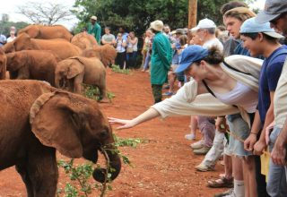 Nairobi Full-Day City Tour