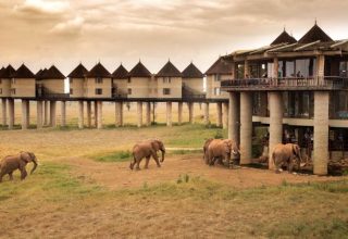 Sarova-Salt-Lick-Safari-Lodge
