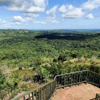 shimba hills national reserve day trip from diani beach mombasa