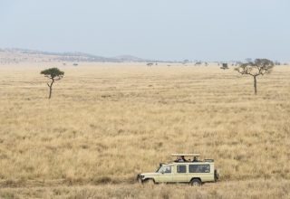 10 days Kenya safari adventure with Nova Afrika Safaris