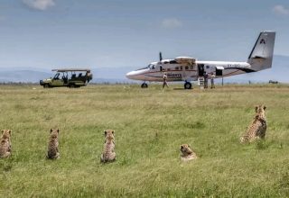 2 Days Masai Mara Fly-In Safari