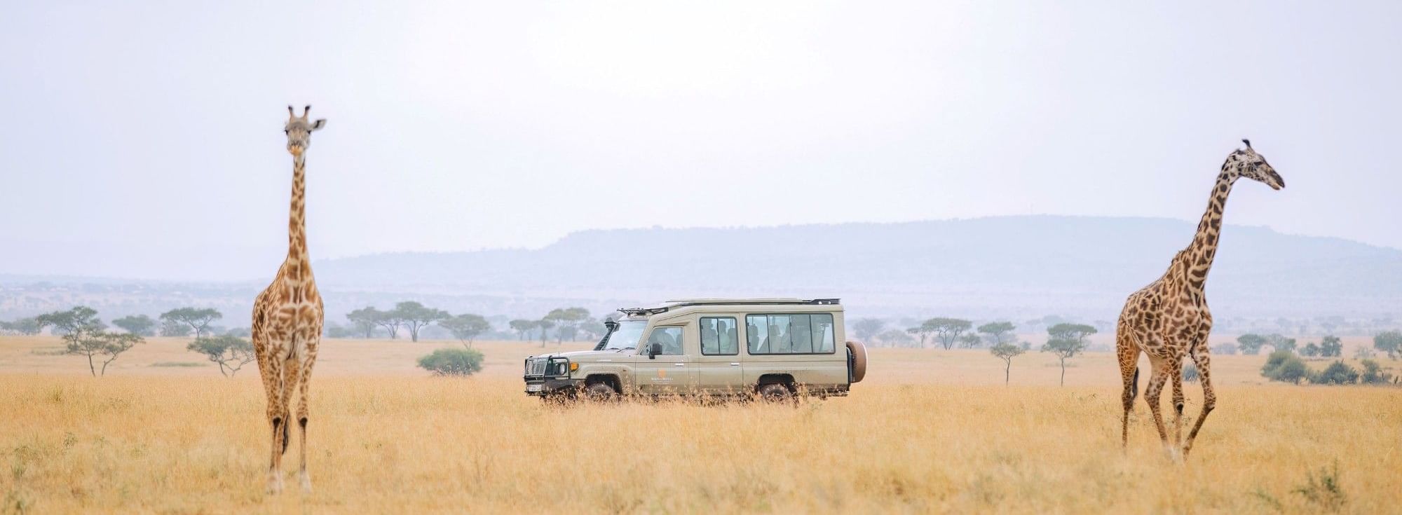 3 days Luxury Masai Mara Safari trip from Diani beach Mombasa