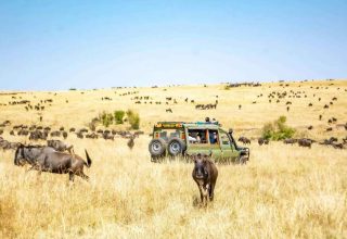 5 Days Safari Amboseli-Lake Naivasha Masai Mara