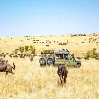 5 Days Safari - Amboseli, Lake Naivasha & Masai Mara