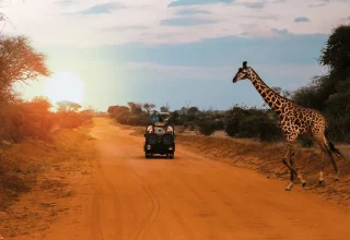 7 days Classic Wildlife Kenya safari