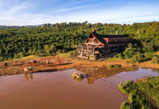 Aberdare-Ol-Pejeta-Safari