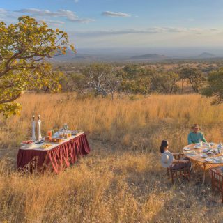 Kenya Mombasa Wildlife Safari Tour to Nairobi Bush Breakfast