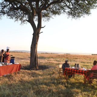 Bush Breakfast Masai Mara Sunrise Balloon Ride in Kenya
