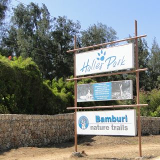 Haller Park Mombasa Excursion