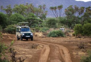 Kenya-Safari-and-Beach-Holiday