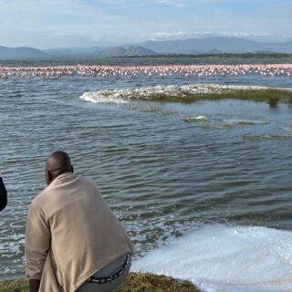 Lake Bogoria Kenya Safari