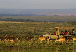 Masai-Mara-Amboseli-Fly-In-Safari