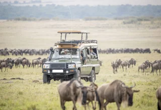 Masai-Mara-Game-Reserve-Safari-in-4x4-Jeep