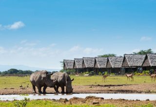 Ol-Pejeta-Conservancy-Day-Tour