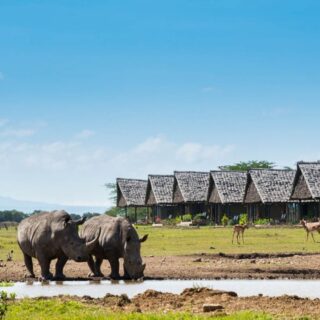 Sweetwaters Serena Ol Pejeta Wildlife Conservancy