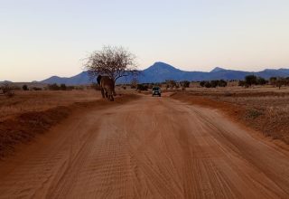Tsavo East Tsavo West Amboseli National Parks Safari Tour