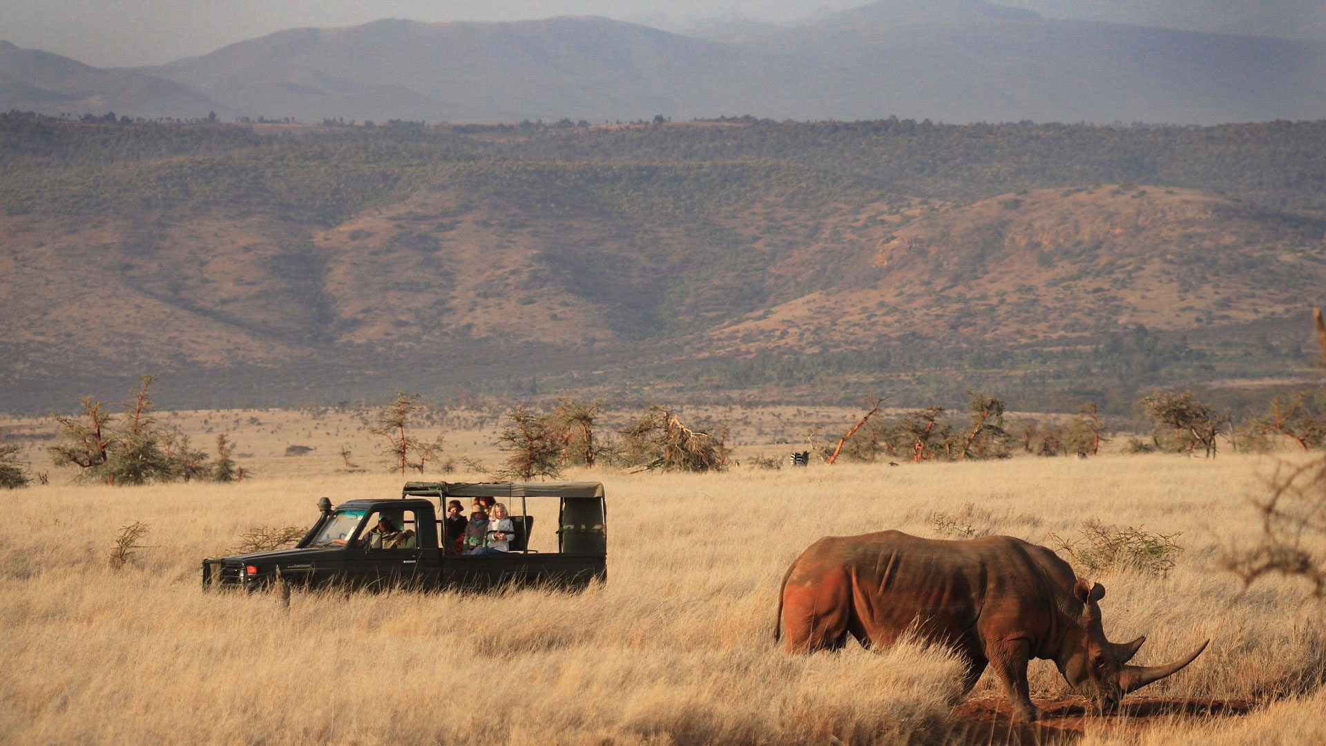Lewa Fly-in safari Kenya