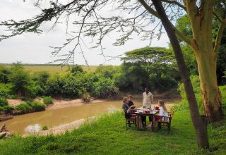 bush-breakfast-basecamp-mara-safari