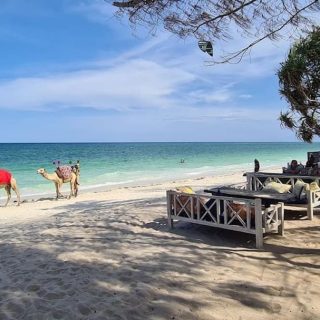 Diani beach vacation with Nova Afrika Kenya Safaris