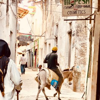 Donkey riding Lamu Island beach vacation
