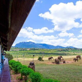 Ngulia Safari Lodge Tsavo West National park