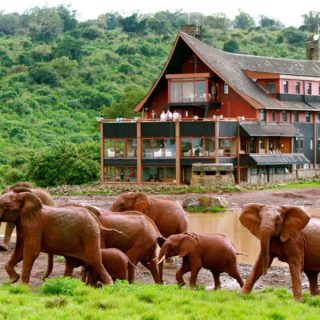The ark lodge Aberdare national park safari tour from Nairobi