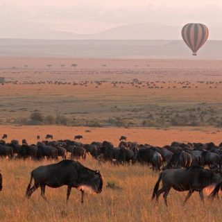 Best Time To Visit Masai Mara For Wildebeest Migration