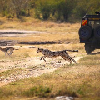 Best Time To Visit Masai Mara Kenya