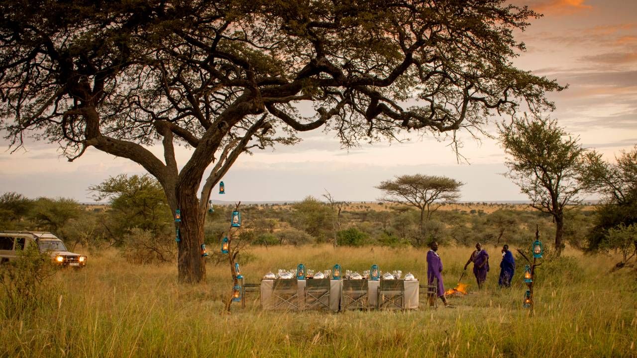 10-days-luxury-kenya-tanzania-combined-safari-highlights