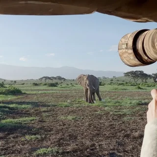 Best-Time-To-Visit-Tortilis-Camp-Amboseli