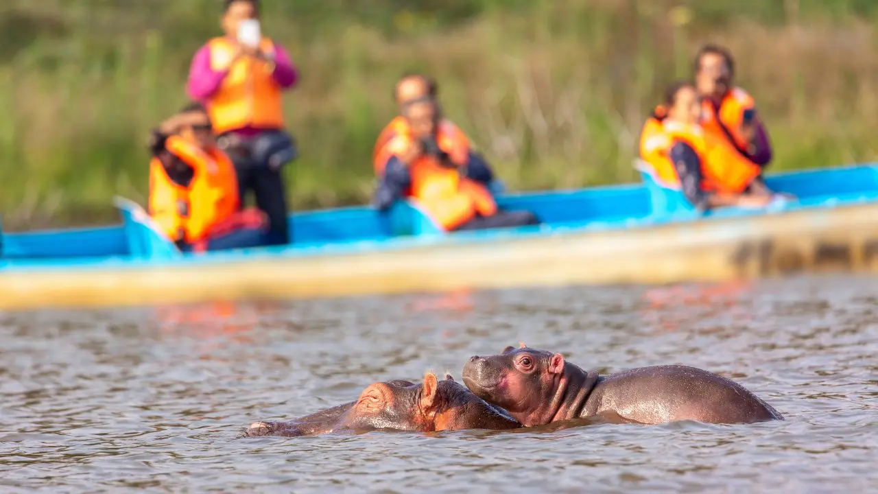 Magical Kenya Lake Naivasha Boat Safari