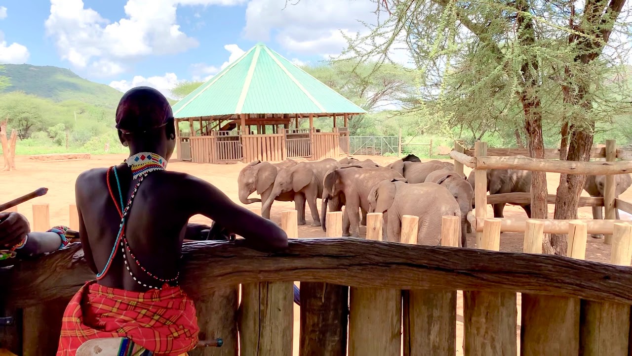 Magical Kenya Samburu Safari