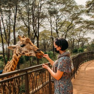 top-things-to-do-in-kenya-with-nova-afrika-kenya-safaris