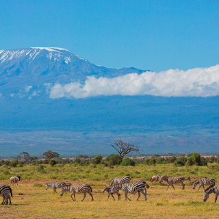 3 Day Amboseli Mount Kilimanjaro Safari From Nairobi