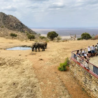 Budget Safari Holidays Kenya