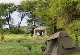 Camping Safari Tanzania