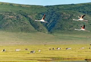 Ngorongoro-crater-luxury-tanzania-safari