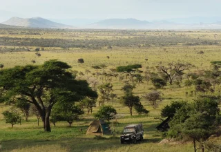 Serengeti Ngorongoro Tanzania Safari