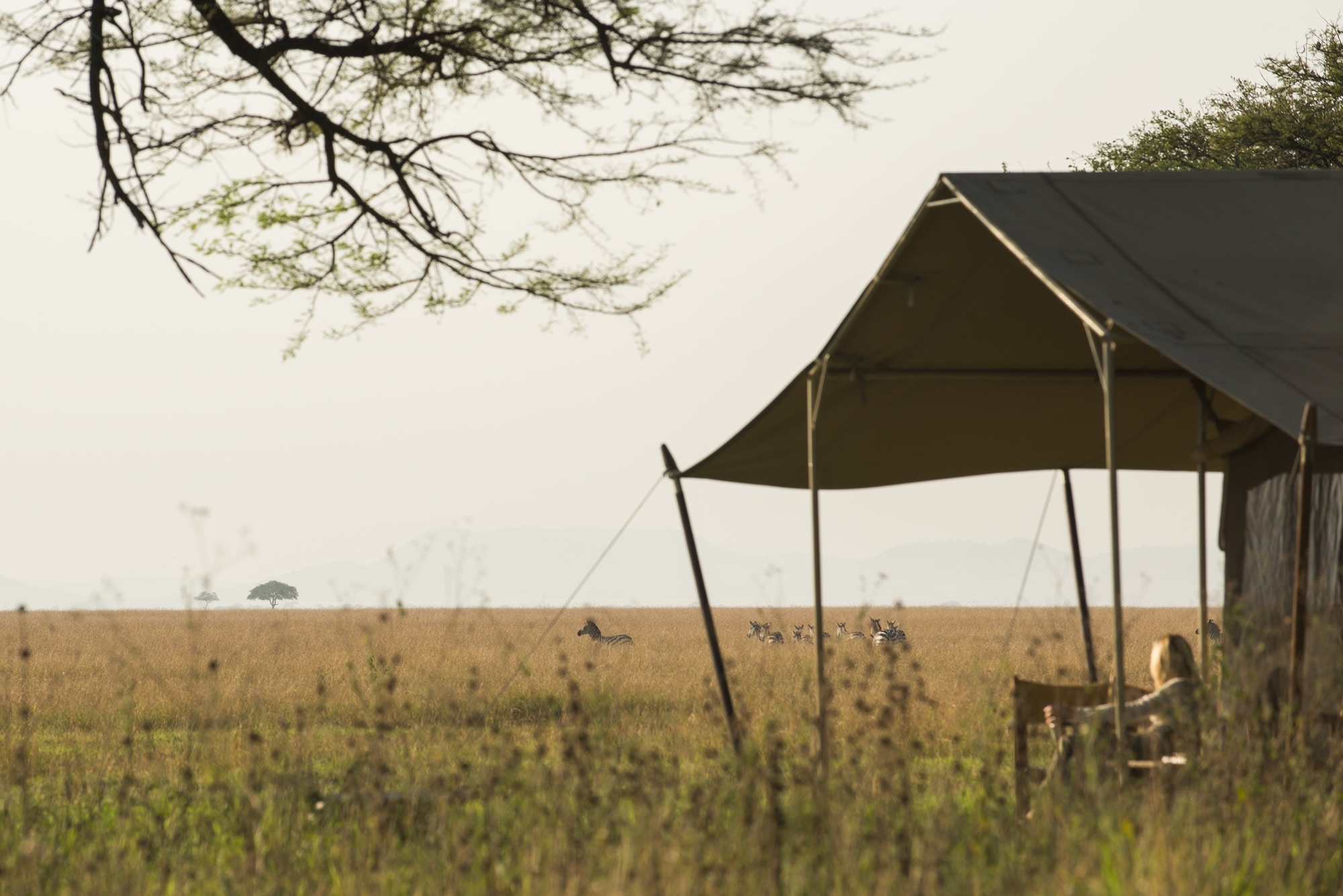Luxury Tanzania Safari in Nomad Serengeti