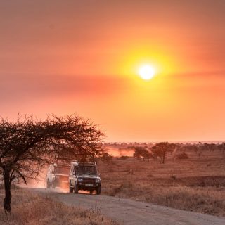 Serengeti Tanzania Jeep Safari