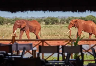 Ngutuni Sanctuary safari